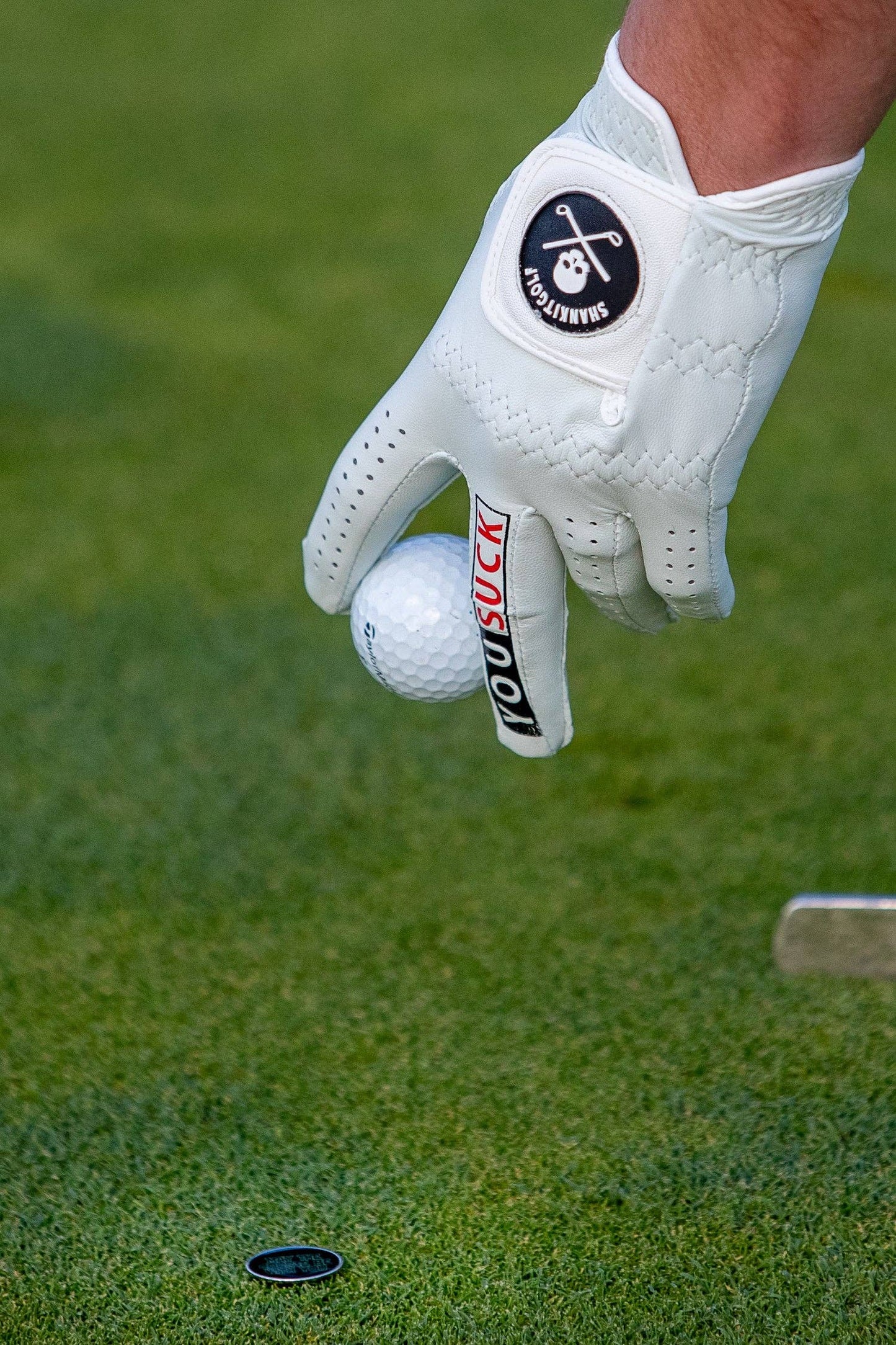 You Suck Golf Glove (NEW)