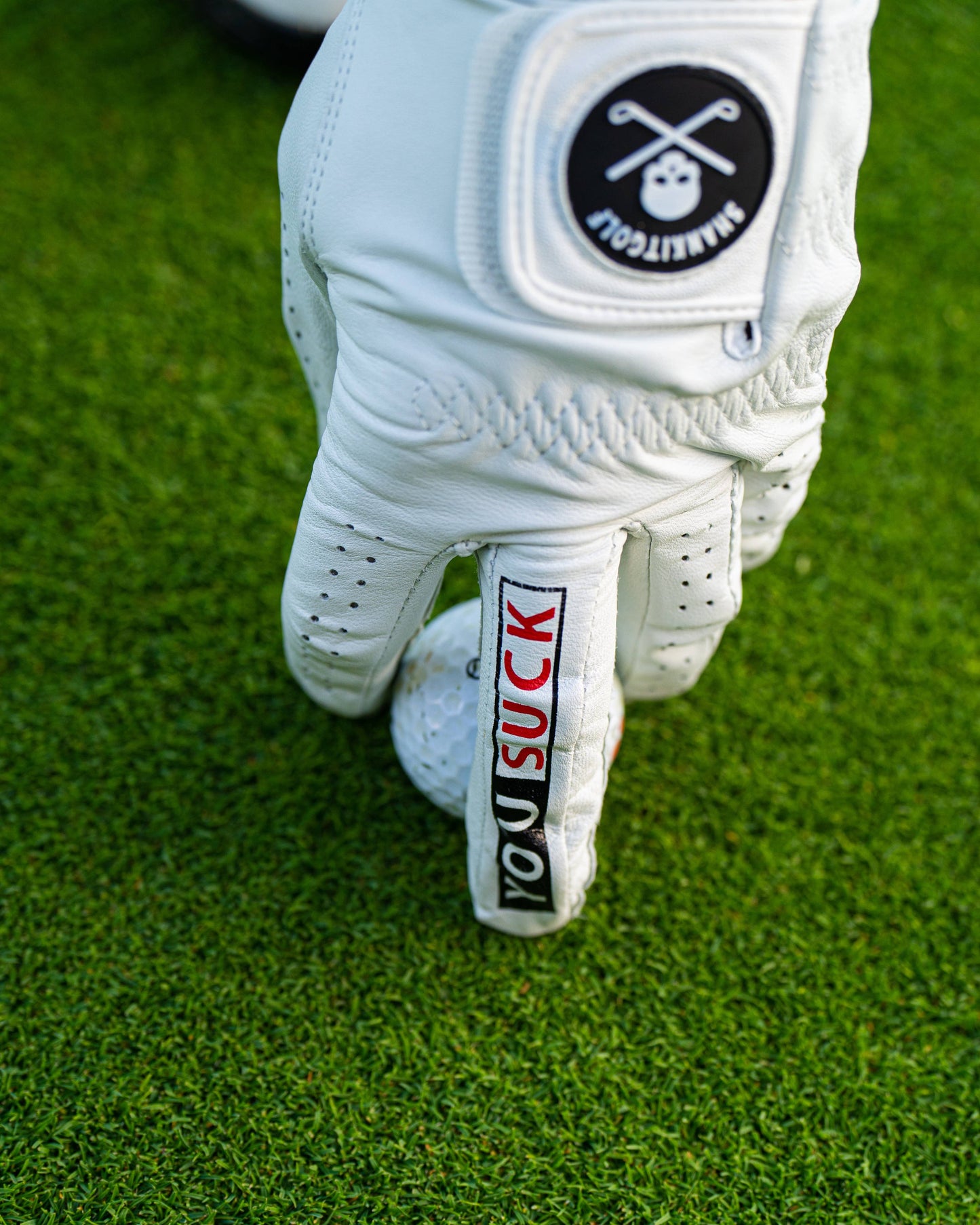 You Suck Golf Glove (NEW)
